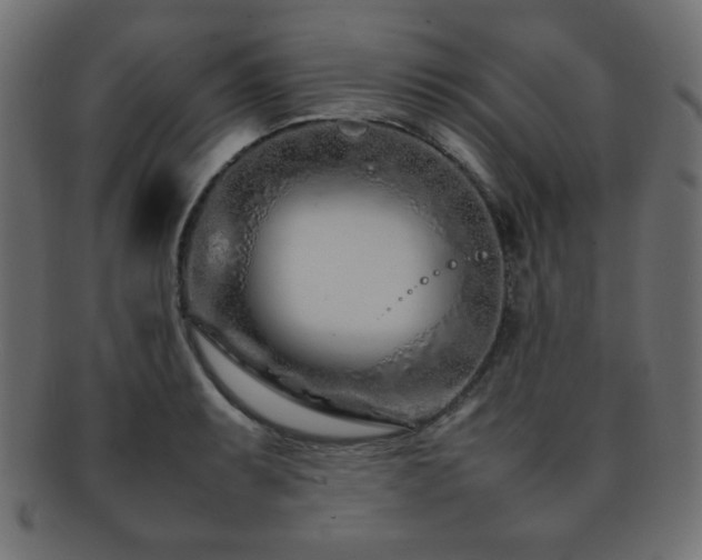 X0000092271087200709141156