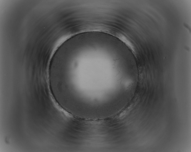 X0000092271088200709141156
