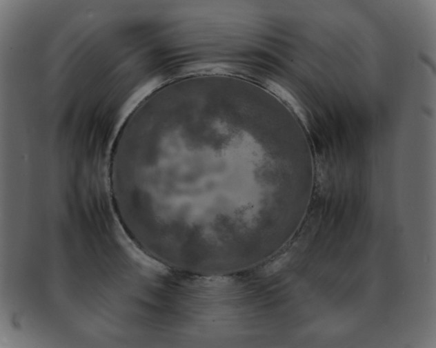 X0000092271090200709141156