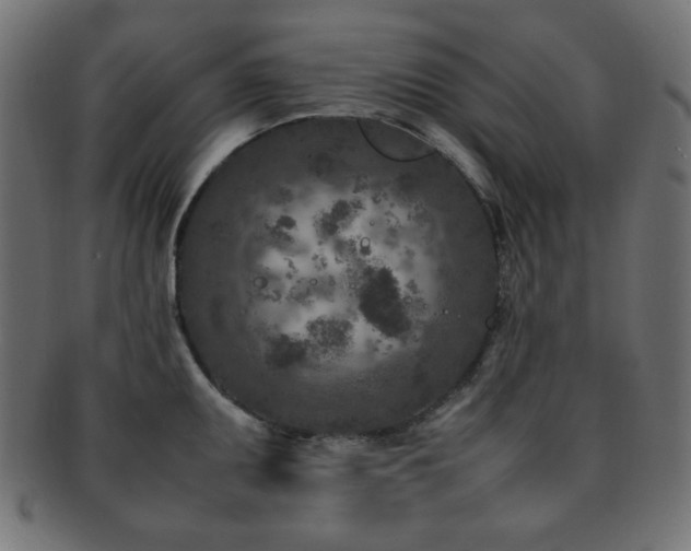 X0000092271095200709141156