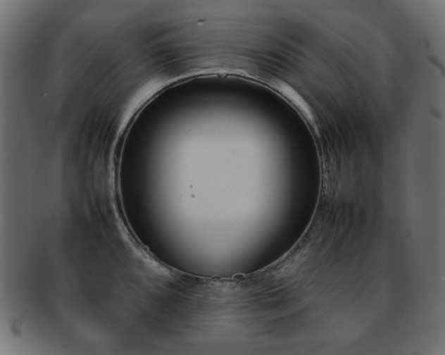 X0000092271096200709141156