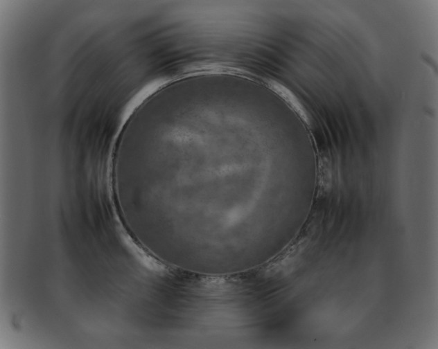 X0000092271098200709141156