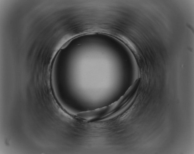 X0000092271102200709141156