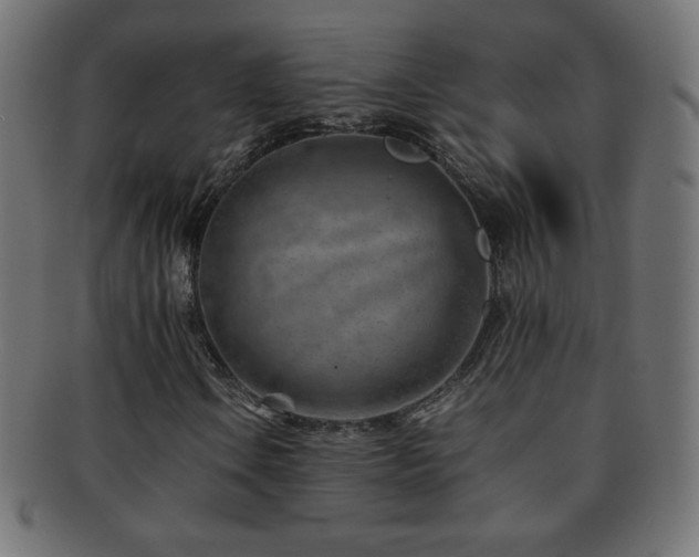 X0000092271106200709141155