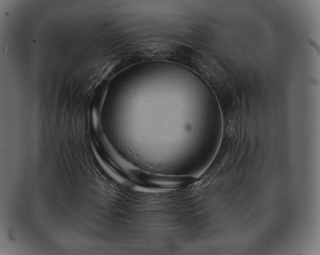 X0000092271108200709141155
