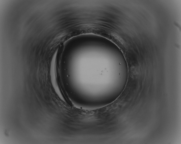 X0000092271111200709141155