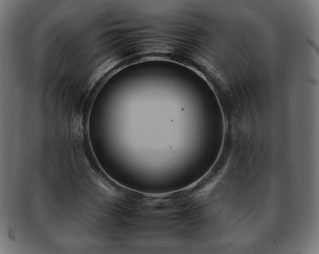 X0000092271113200709141155