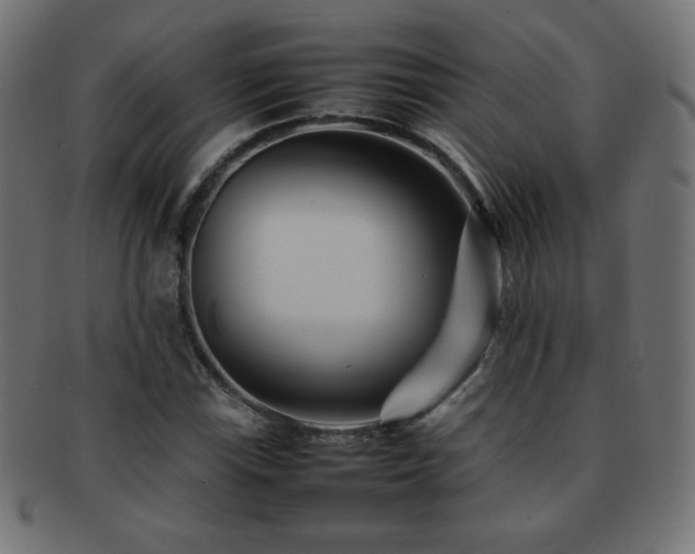 X0000092271115200709141155