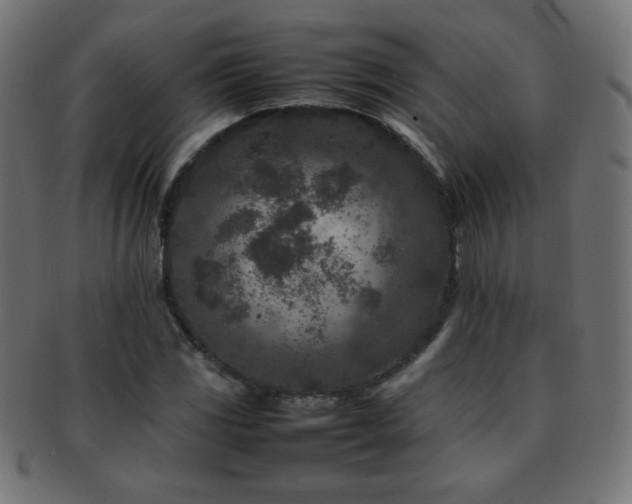 X0000092271117200709141155