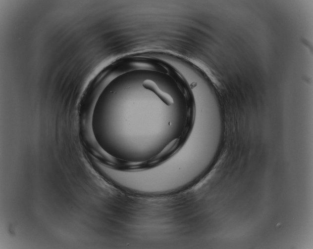 X0000092271118200709141155