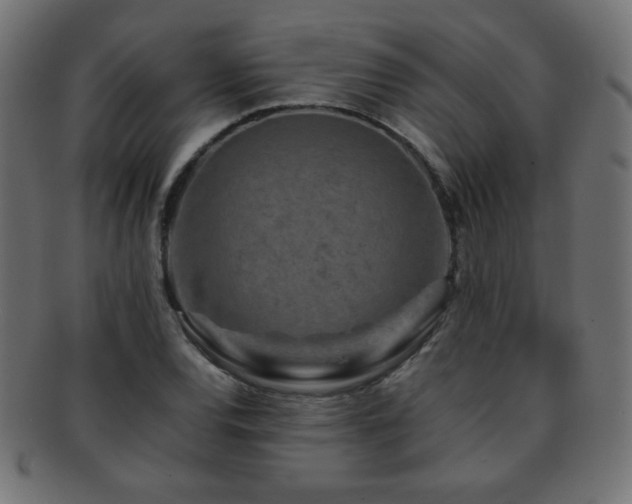 X0000092271120200709141155