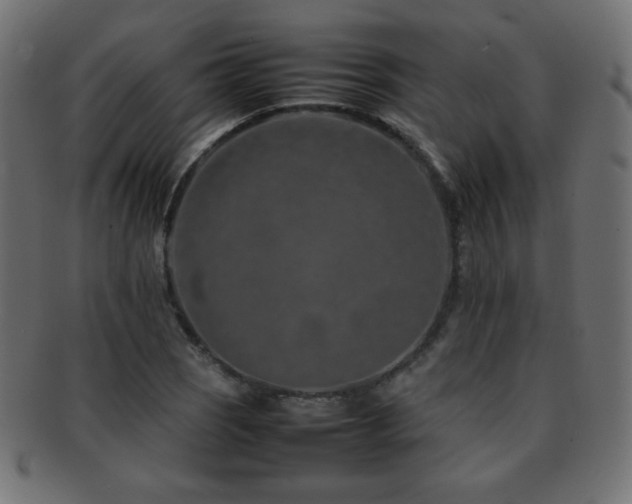X0000092271121200709141155