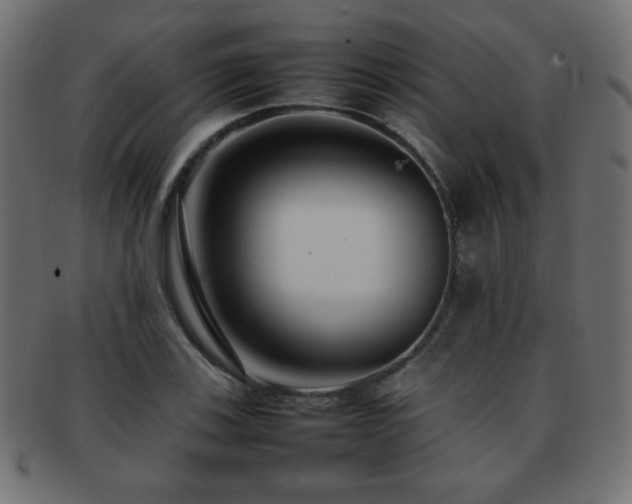 X0000092271123200709141155