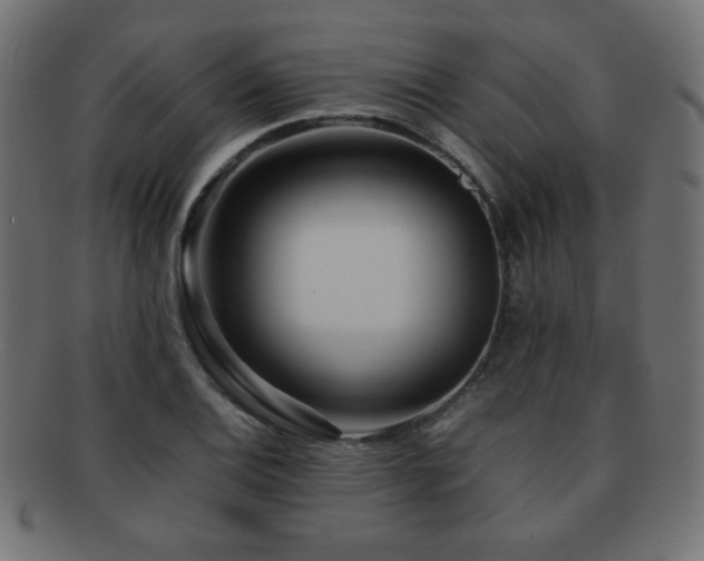 X0000092271124200709141155