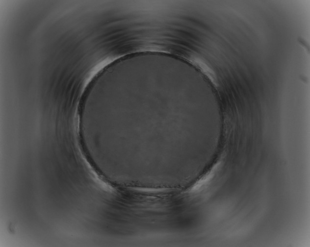 X0000092271125200709141155