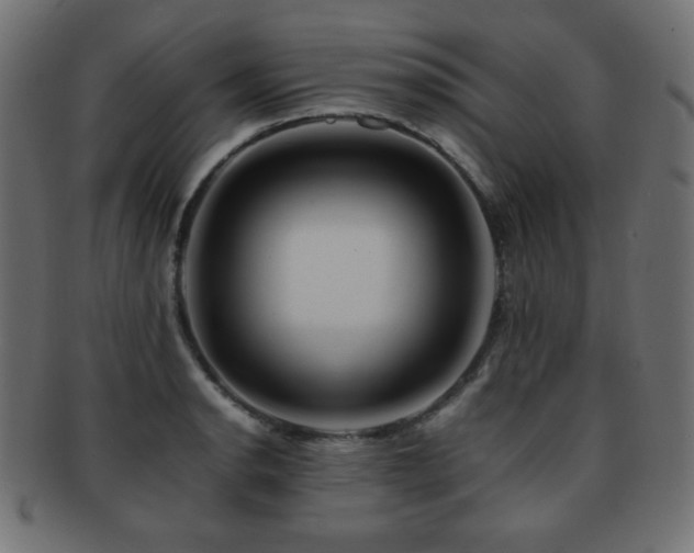 X0000092271134200709141156