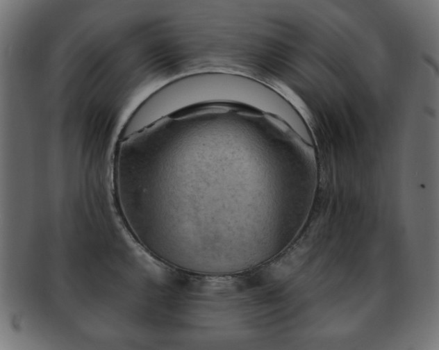 X0000092271144200709141156