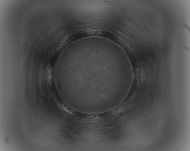 X0000092271154200709141155