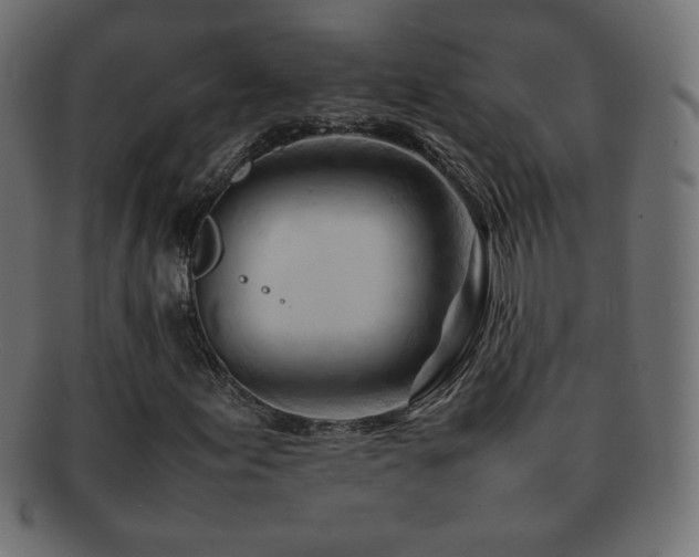 X0000092271155200709141155