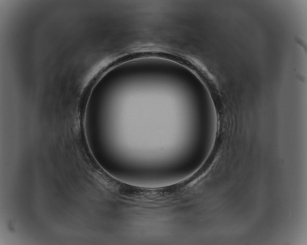X0000092271167200709141155