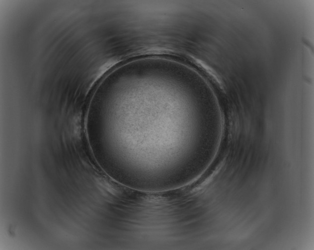 X0000092271170200709141155