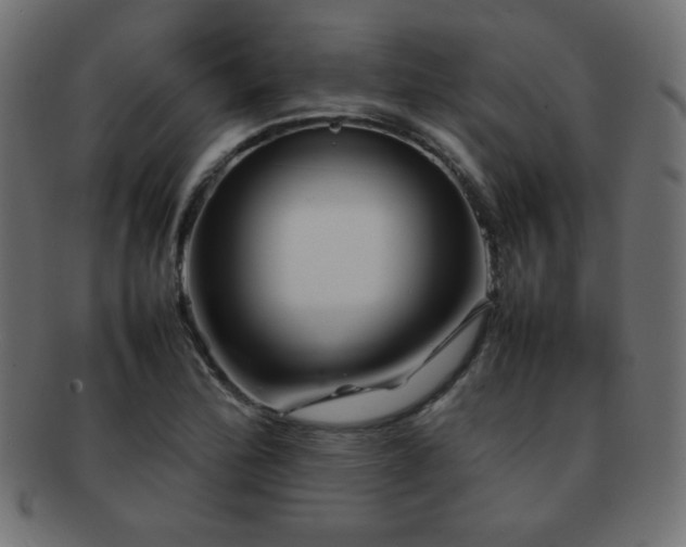 X0000092271172200709141155