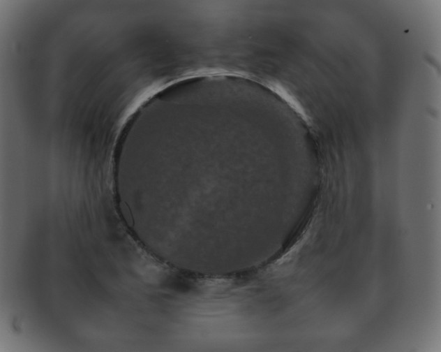 X0000092271173200709141155