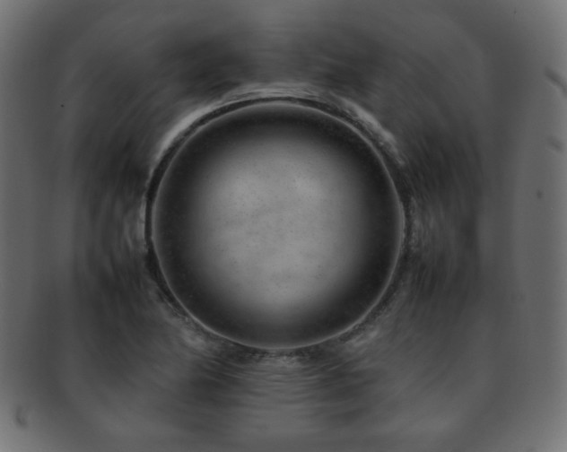 X0000092271174200709141155