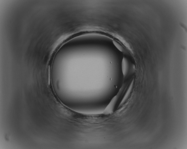 X0000092271175200709141155