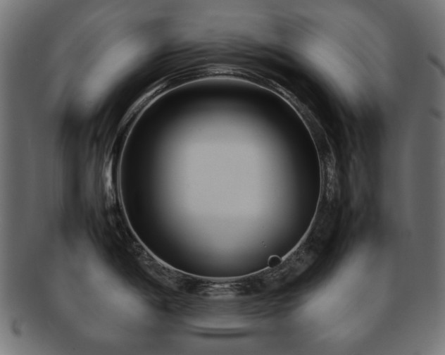 X0000092271198200709141155
