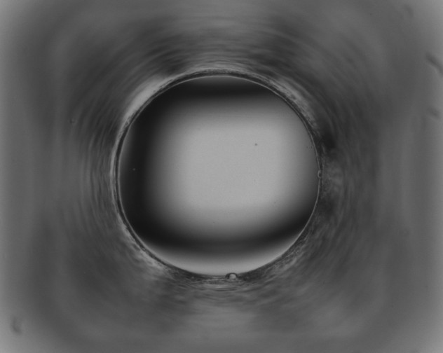 X0000092271199200709141154