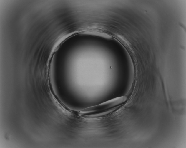 X0000092271200200709141154