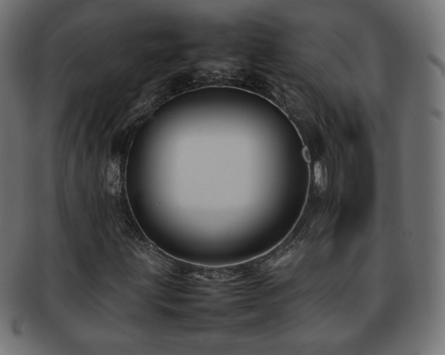X0000092271203200709141154