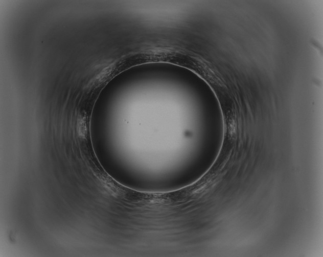X0000092271204200709141154