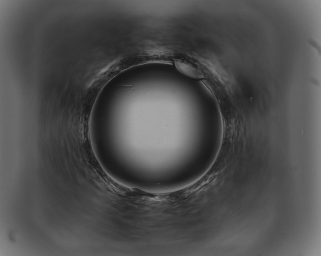 X0000092271205200709141154