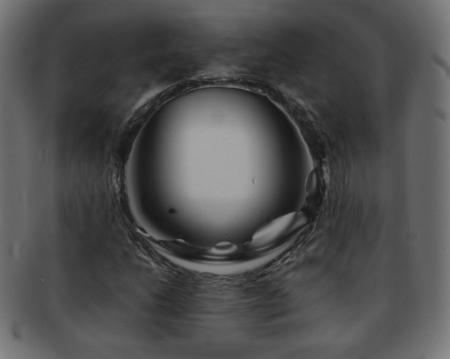 X0000092271206200709141154