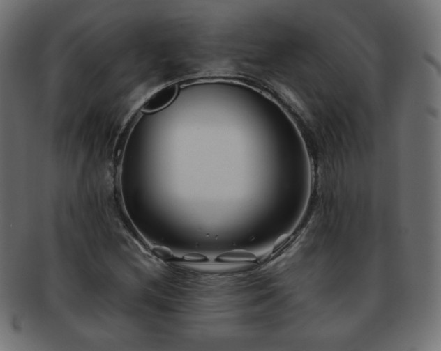 X0000092271212200709141154
