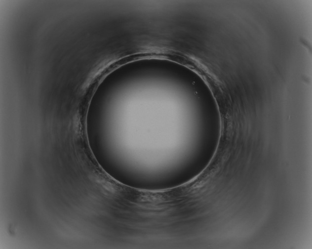 X0000092271215200709141154