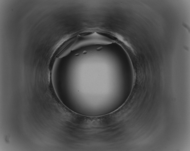 X0000092271221200709141154