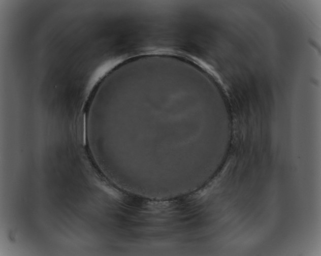 X0000092271223200709141154