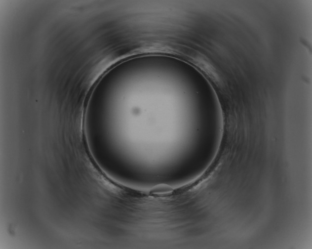 X0000092271228200709141154