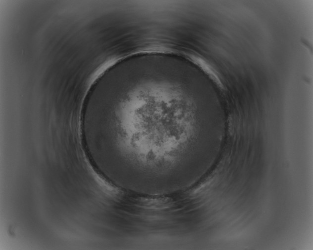X0000092271229200709141154