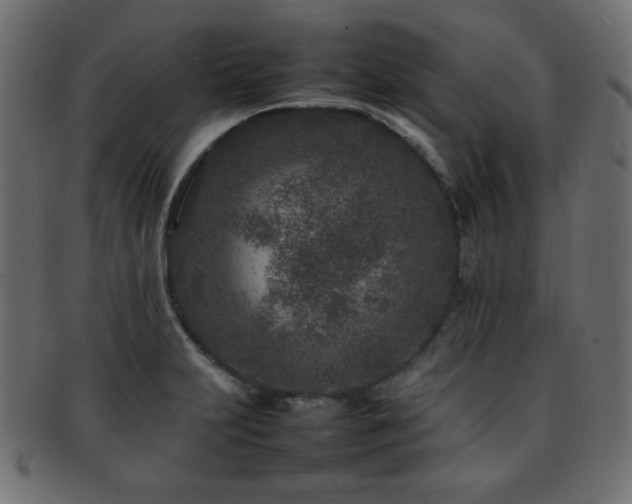 X0000092271231200709141154
