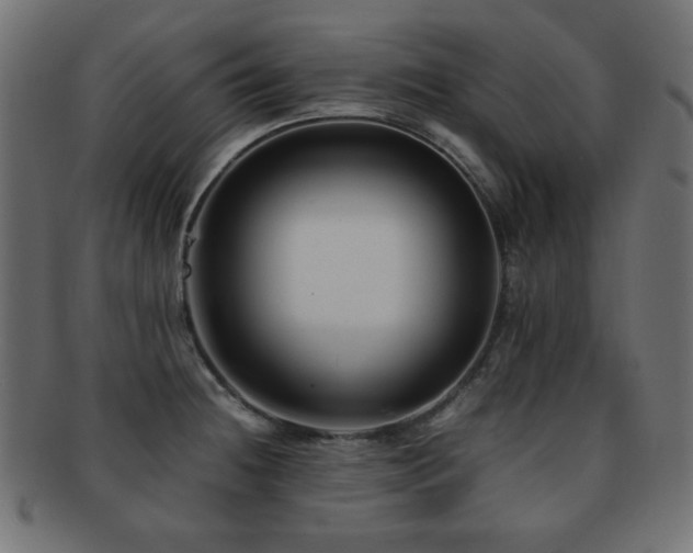 X0000092271236200709141154