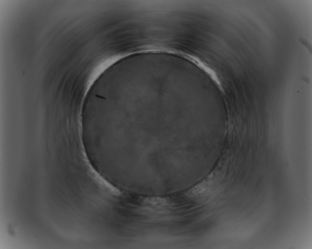 X0000092271239200709141154