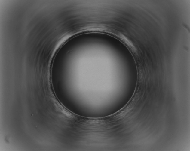 X0000092271240200709141154