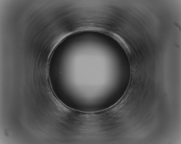 X0000092271244200709141154