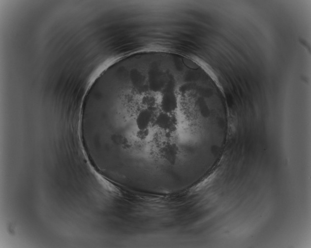 X0000092271245200709141154