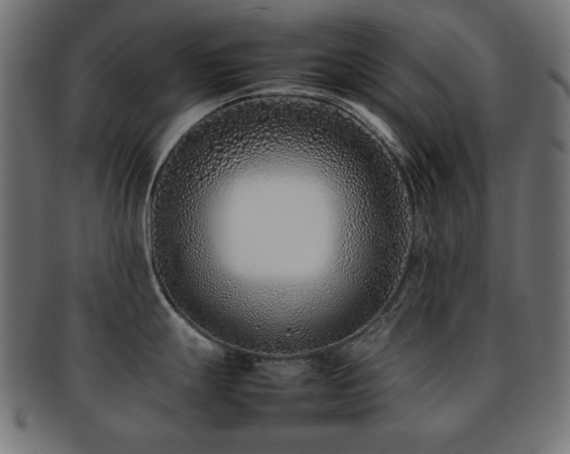 X0000092271247200709141154