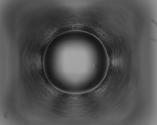 X0000092271252200709141154